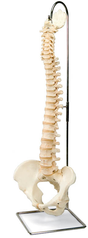 Dr Mark Augello & Dr Charles Kennedy - Chiropractic Care